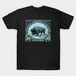 Buffalo Stamp T-Shirt